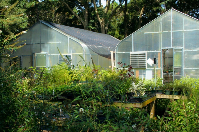 pepiniere-HYERES-min_greenhouse-60830